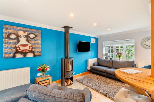 TV, fireplace