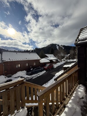 Property grounds - Chalet du mouflon au bec de l'aigle (Le Lioran)