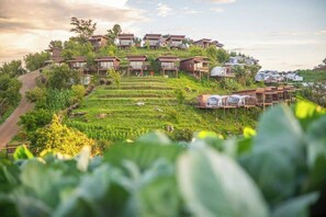 Un resort en una ladera con varias cabañas de madera y una vista despejada de jardines escalonados.