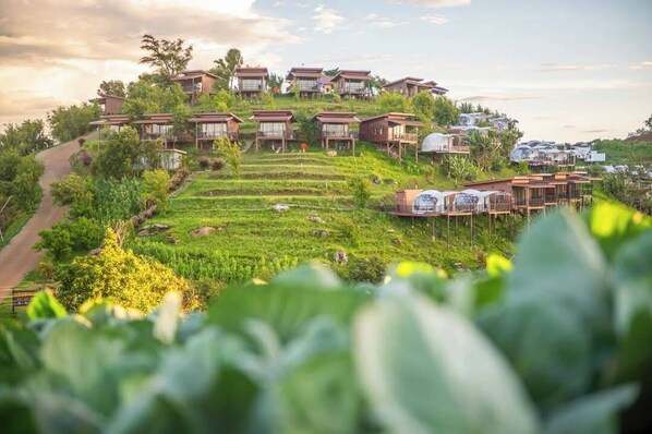 Stylish buildings stand elevated on stilts, connected by pathways amidst lush greenery.