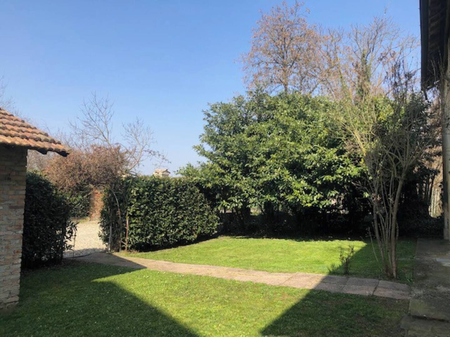 A well-maintained garden with a paved path, a hedge, and a large tree providing shade.