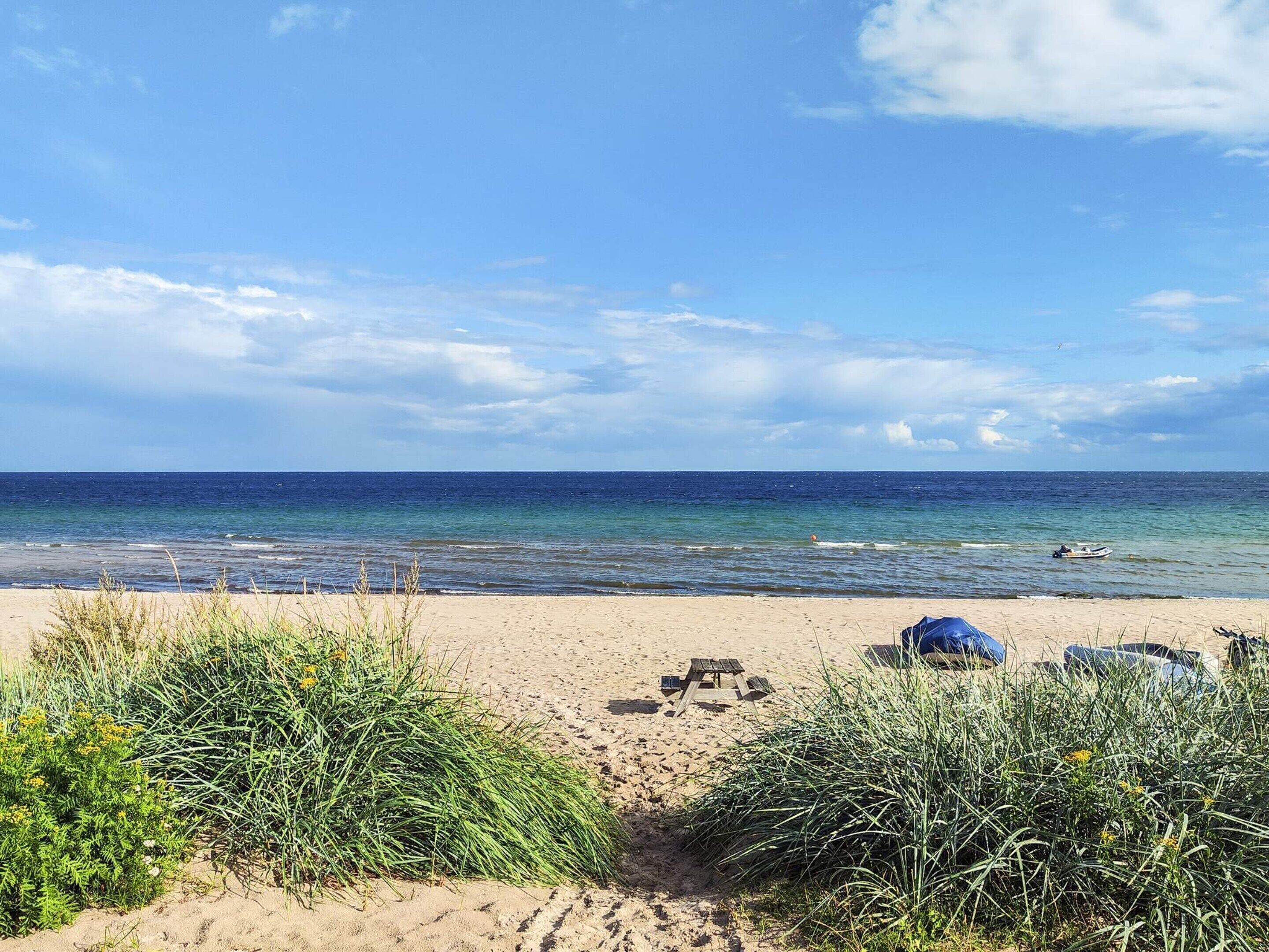 Une plage avec du sable, des algues et un bateau sur l’eau.