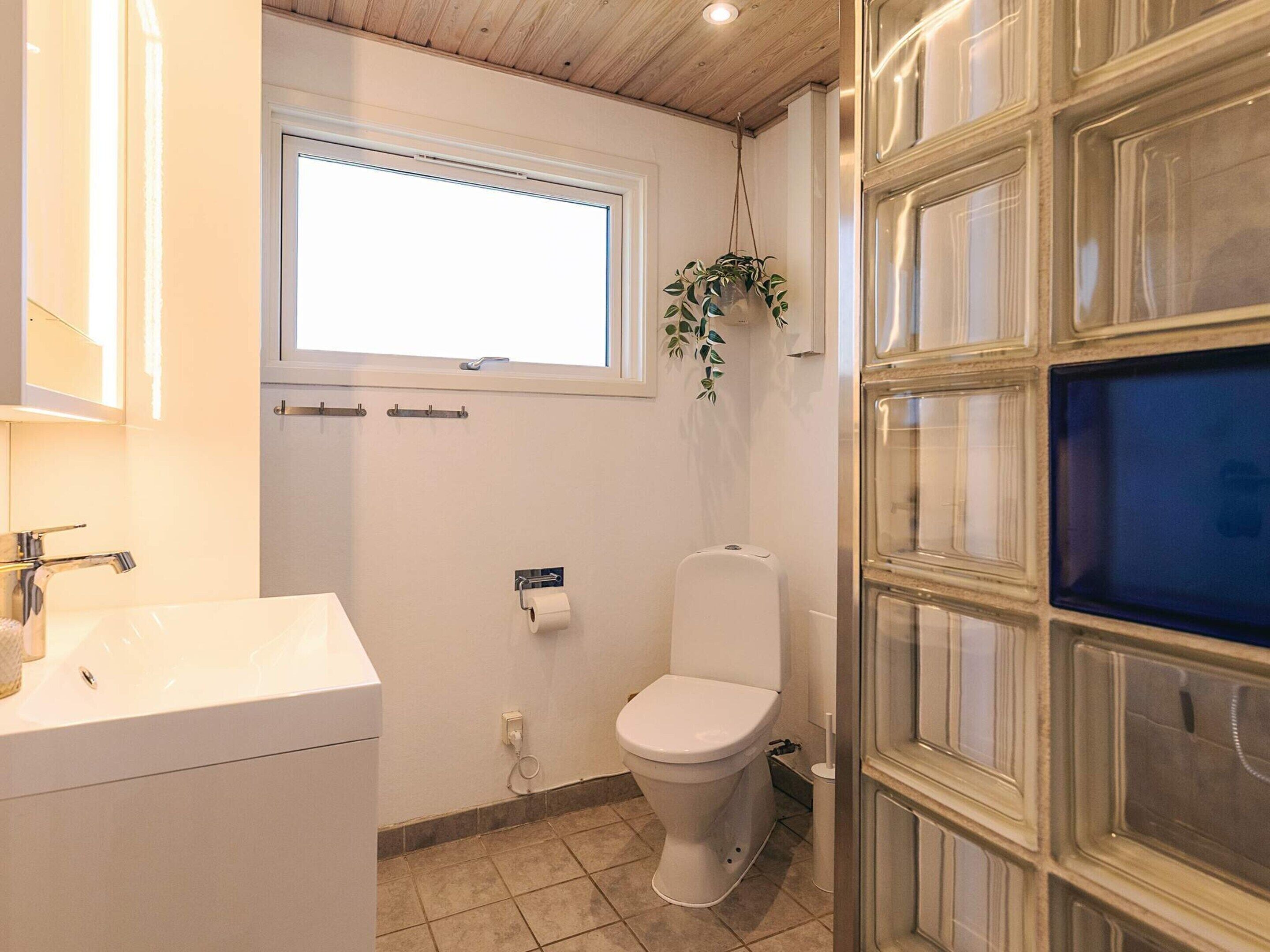 Une salle de bain avec des toilettes, un lavabo, une fenêtre et une plante.
