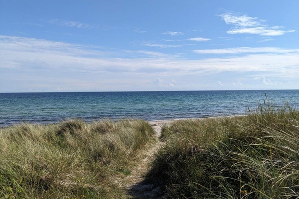 House | Beach