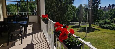 A covered outdoor area with a table and chairs, a railing with potted plants, and a view of a green lawn and trees.