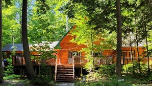 A cabin with a stone pathway leading to a wooden deck, surrounded by dense forest. - 
Kawagama Shoreline - Private Waterfront Cottage on Kawagama Lake (Dorset)