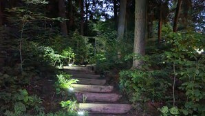 A wooden staircase surrounded by dense greenery, leading up a slope. - 
Kawagama Shoreline - Private Waterfront Cottage on Kawagama Lake (Dorset)