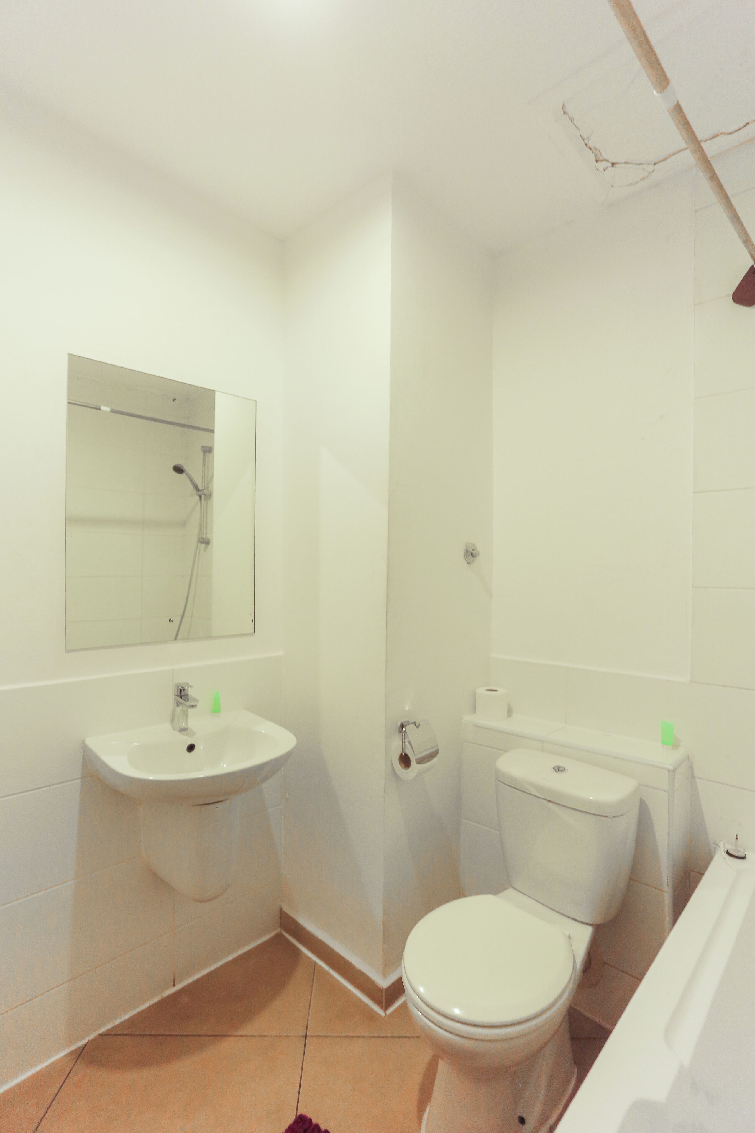 A bathroom with a toilet, two sinks, a mirror, and a shower.