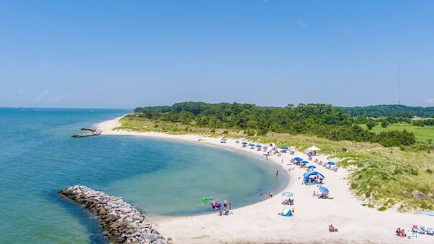 Une plage avec une eau d’un bleu limpide, un rivage sablonneux et une rangée d’arbres en arrière-plan.