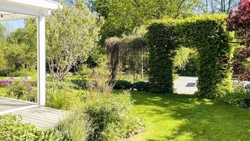 House | Property grounds