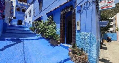 aline hostel
