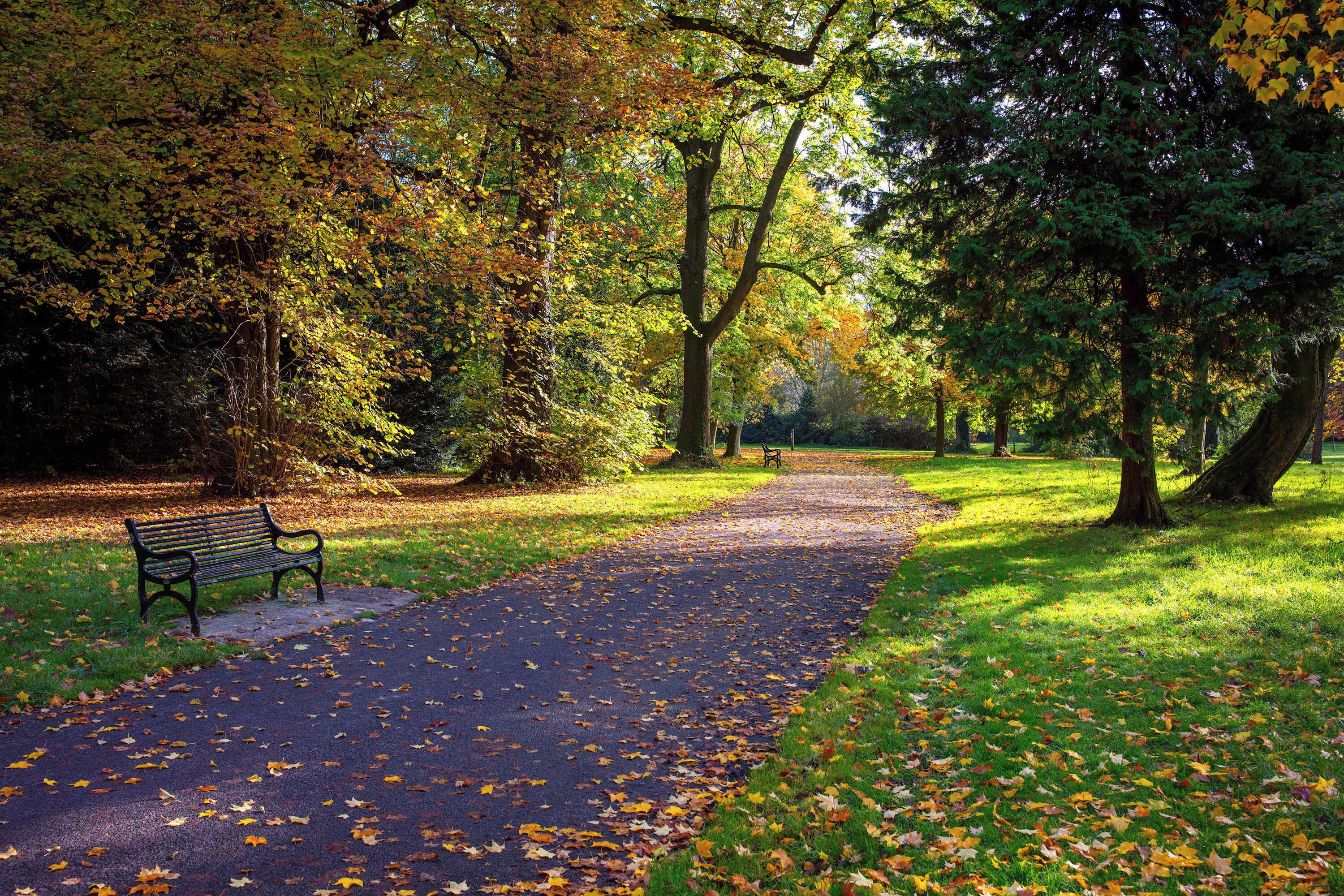 Ormeau Park - 14 mins walk from East Village – Belfast’s oldest municipal park, 100 acres of meadows, woodland paths & active play, framed by mature trees and lively June festivals.