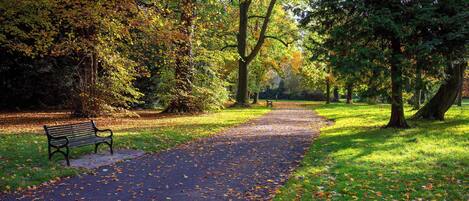 Ormeau Park - 14 mins walk from East Village – Belfast’s oldest municipal park, 100 acres of meadows, woodland paths & active play, framed by mature trees and lively June festivals.