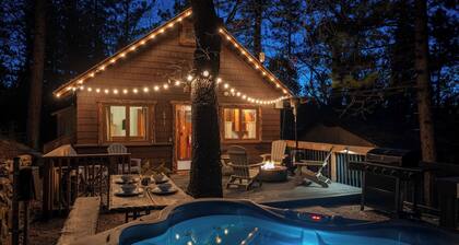 Historic Cabin 2/1 - Great Spa, Pet Friendly, Walk to Village, EV Charger