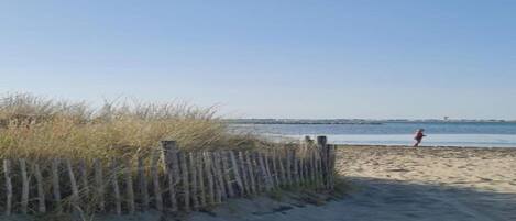 Une plage de sable avec une clôture en bois et une personne au loin.