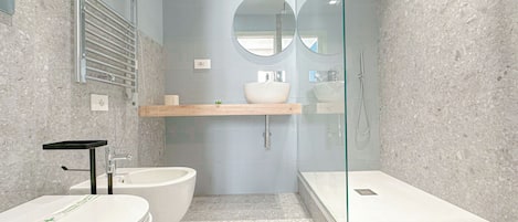 Shower, hair dryer, bidet, towels