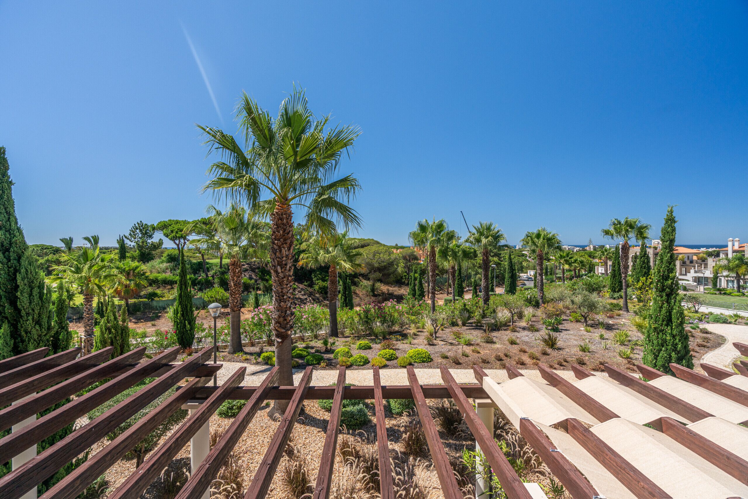 Un jardin avec des palmiers et une pergola.
