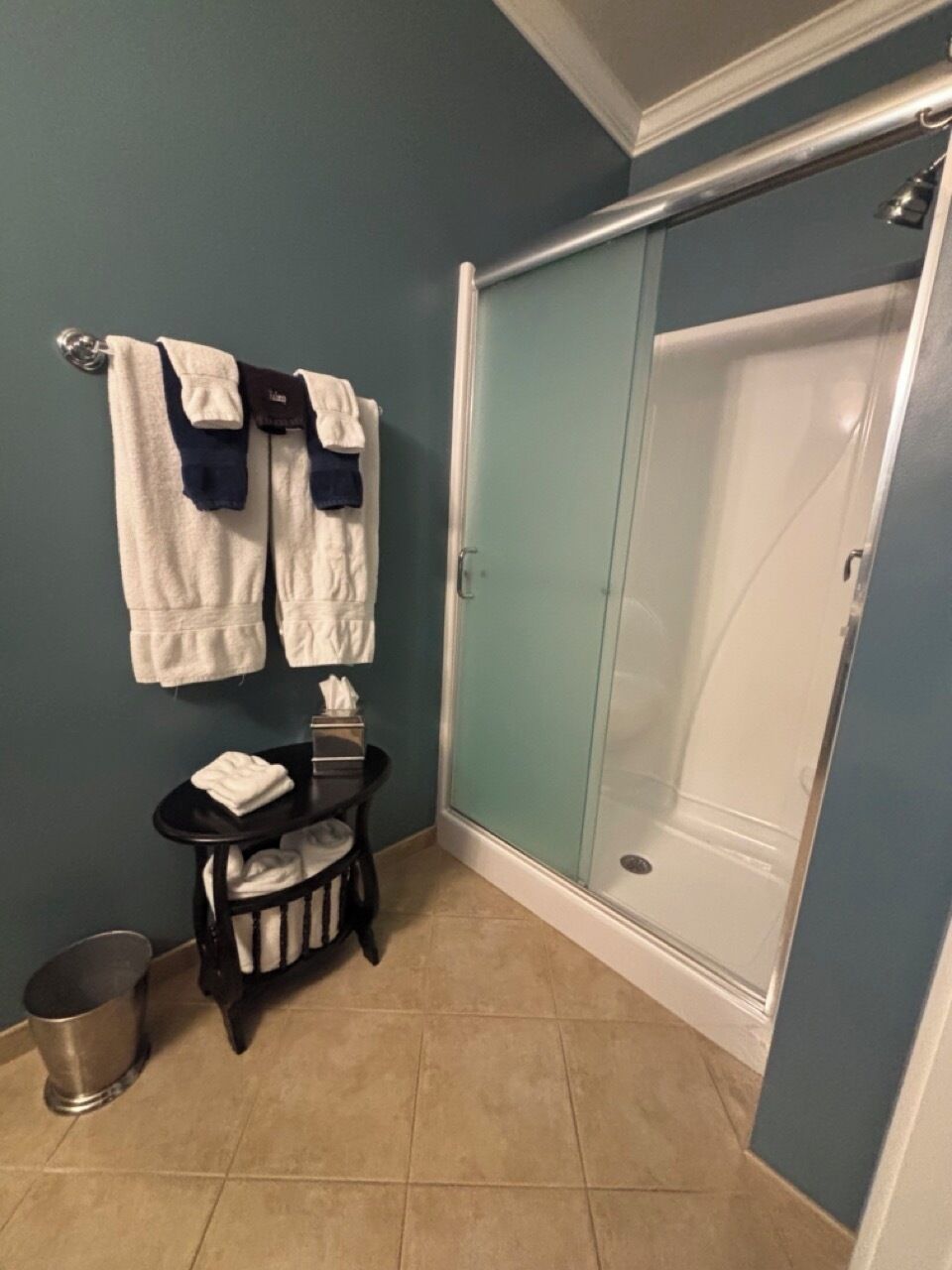 Un baño con ducha, un perchero con toallas, una caja de pañuelos y un cubo de basura.