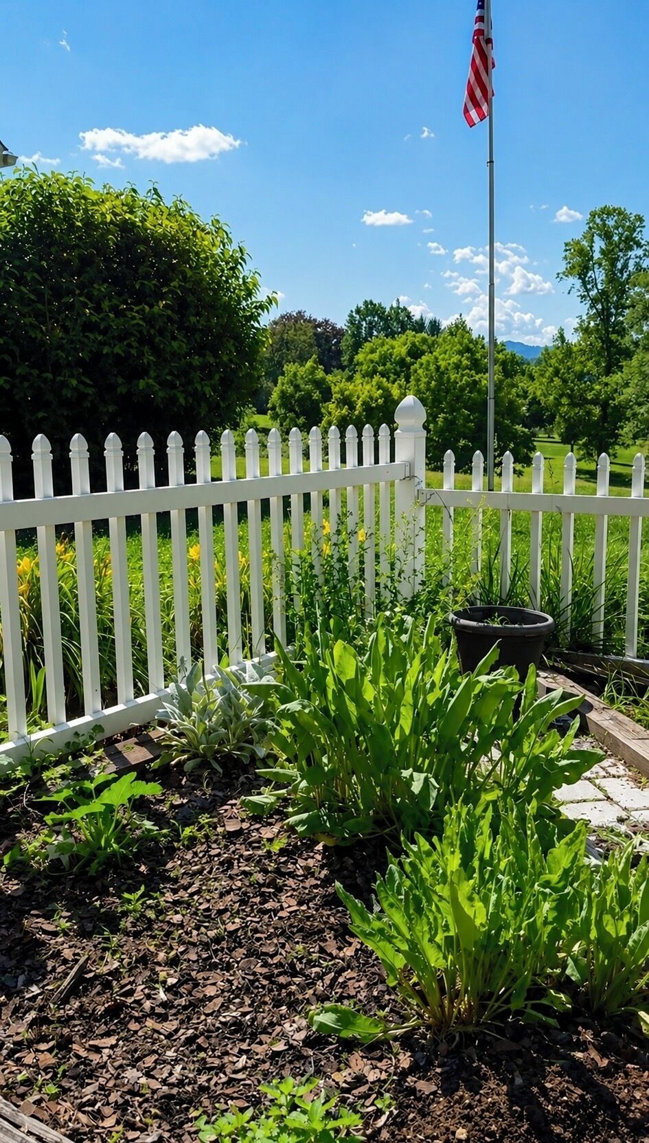 A garden with a white picket fence, a flagpole with an American flag, and various green plants.
