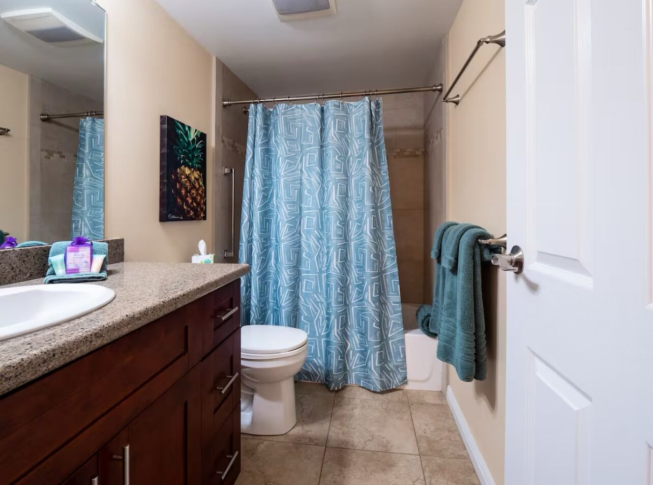 Hair dryer, towels, soap, shampoo