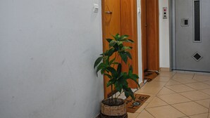 A hallway with wooden doors, a potted plant, and a doormat with "HOME" written on it.