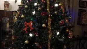A Christmas tree decorated with lights and ornaments, placed in a room with a wooden floor and a framed picture on the wall. - Anna (Perugia)