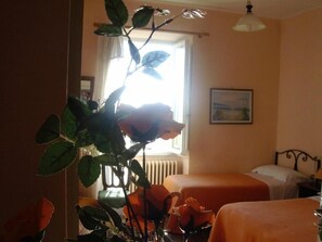 Desk, free WiFi - Anna (Perugia)
