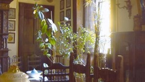 A dining area with a wooden table, chairs, and a vase of green plants. - Anna (Perugia)