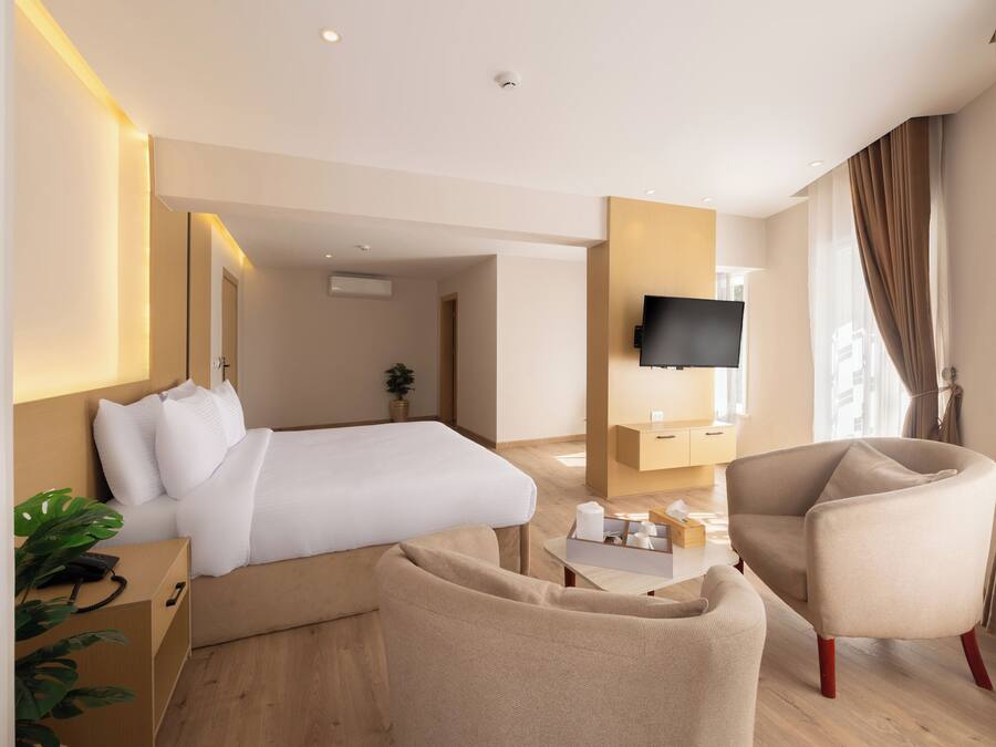 Una habitación de hotel con una cama, televisor, escritorio, silla y planta.