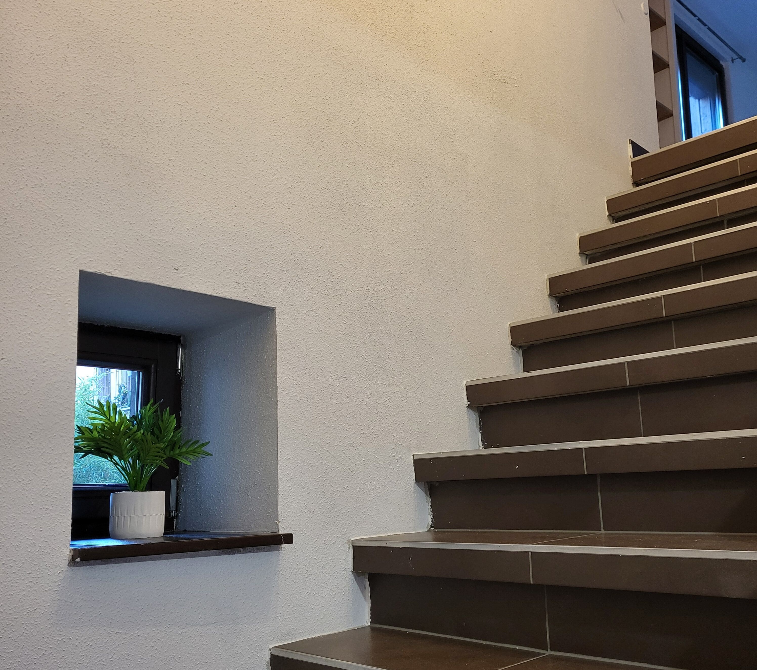 A staircase with a potted plant on the landing.