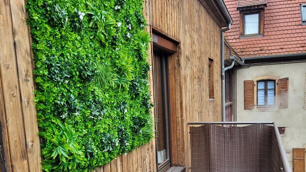 Un bâtiment en bois, agrémenté d’un jardin vertical sur un de ses côtés, d’une terrasse en bois et d’une petite fenêtre avec des volets.