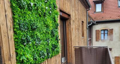 Gîte côté vieille Ville Obernai+garage Max 8 people