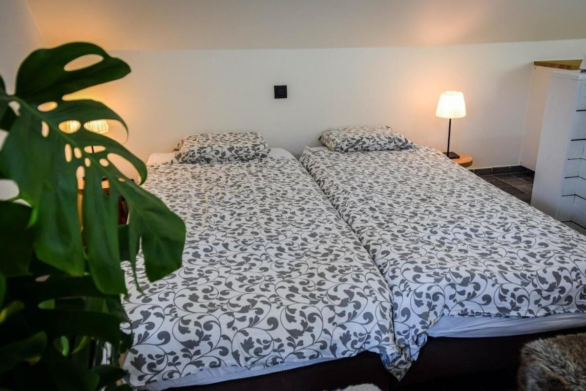 Ein Zimmer mit zwei Betten, einer Nachttischlampe und einer Pflanze.