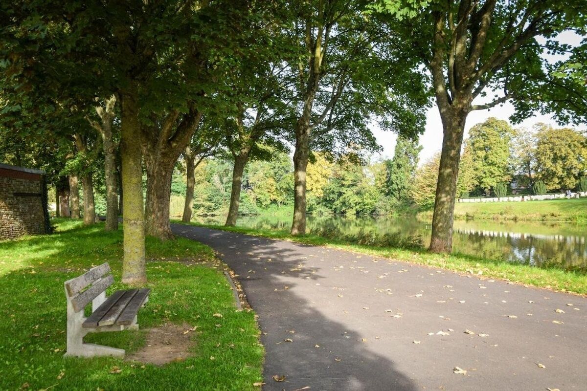 A park pathway with a bench and trees.