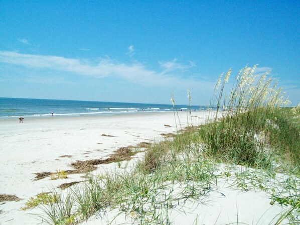 Strand