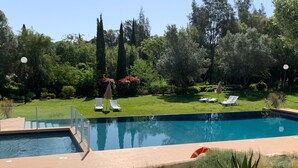 Una piscina rettangolare con superficie d'acqua cristallina e blu, circondata da un solarium in mattoni. Si notano due lettini bianchi con ombrelloni e un piccolo salvagente rosso vicino al bordo della piscina. La piscina è immersa in un giardino curato con diverse piante e alberi sullo sfondo.