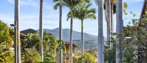 Condo, Multiple Beds (Alii Park Place #N202 Top Floor unit ) | Property grounds