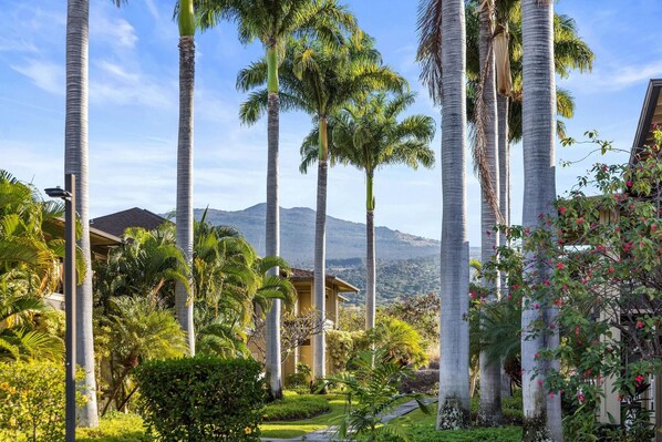 Condo, Multiple Beds (Alii Park Place#N-202) | Property grounds - Alii Park Place#n-202 (Kailua-Kona)
