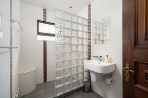 A bathroom with a glass block partition, a white sink, and a wooden door.