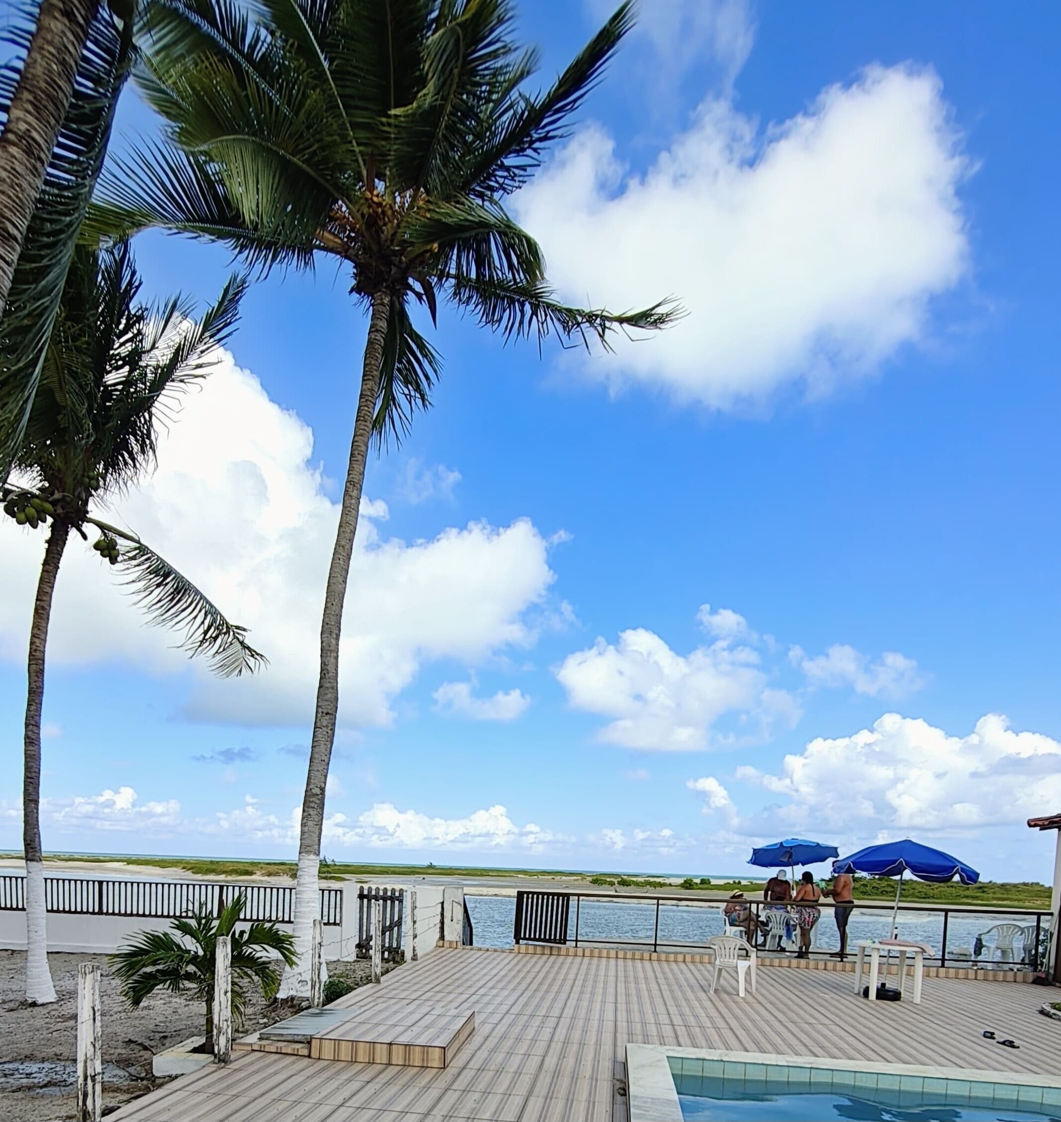 テラス / パティオ