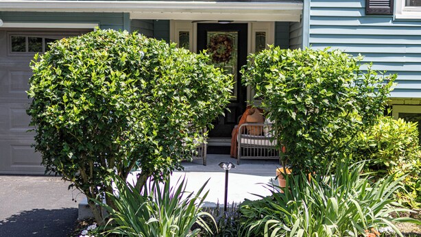 A house with a front porch, a small garden with various plants and flowers, and a door with a wreath.
