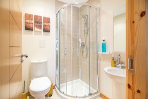 A modern bathroom with a glass-enclosed shower, a white toilet, and a sink with a mirror.
