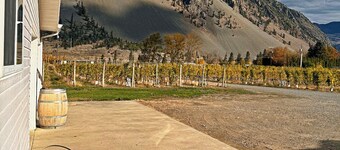 Blush Bliss – A Peaceful Vineyard Escape