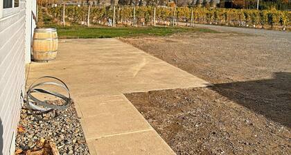 Blush Bliss – A Peaceful Vineyard Escape