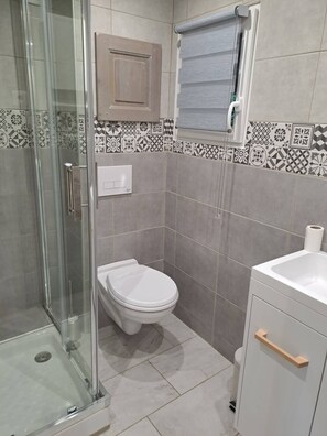 Shower, hair dryer, soap, toilet paper