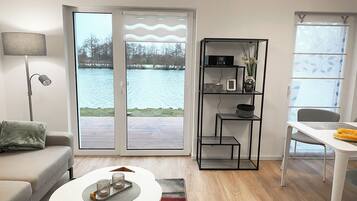 Télévision, cheminée, lecteur de DVD, livres