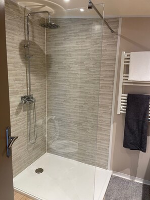 Shower, hair dryer