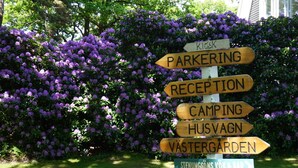 A wooden signpost with directional arrows pointing to various facilities such as a kiosk, parkering, reception, camping, hus vagn, vastergarden, and a bar. - Holiday Home for 2 in Stenungsund (Stenungsund)