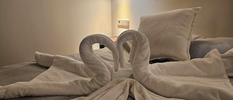 2 chambres, fer et planche à repasser, draps fournis