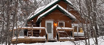 Chalet au toit vert